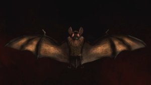 Videohive Halloween Bat Logo Logo Stings template preview