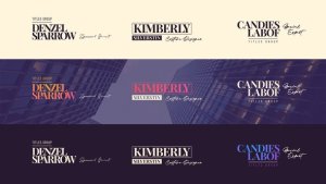 Videohive Fashion Lower Thirds Elements template preview