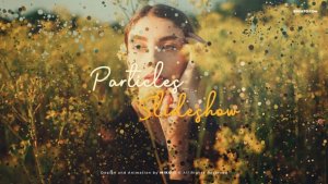 Videohive Original Particles Slideshow Video Displays template preview
