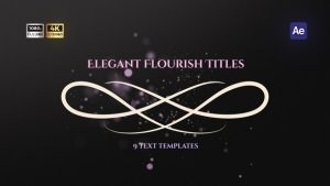 Videohive Elegant Classical Titles Titles template preview
