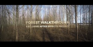 Forest Walkthrough Video Displays template preview