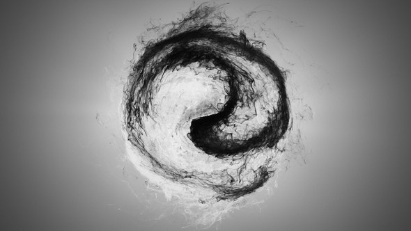 Videohive Yin Yang Logo Reveal Logo Stings template preview