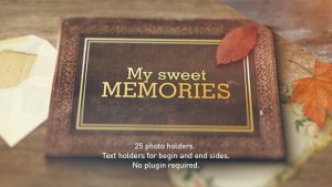 Old Memories Album Gallery Video Displays template preview