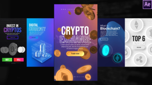 Instagram Crypto Stories Video Displays template preview