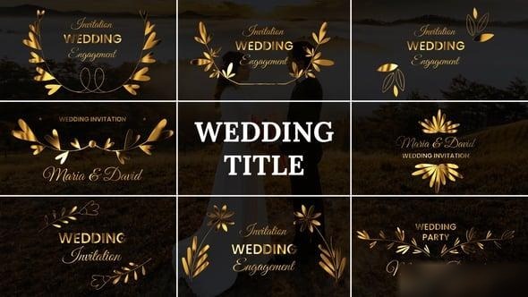 Videohive Wedding Title 54669612 Titles template preview