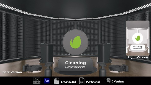 Videohive Cleaning Professionals Logo Stings template preview