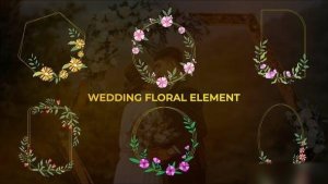 Videohive Wedding Colorful Floral Element Elements template preview