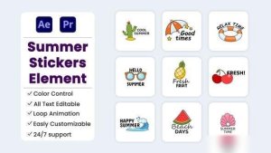 Videohive Summer Stickers Element Elements template preview