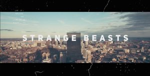 Strange Beasts // Dynamic Opener Video Displays template preview