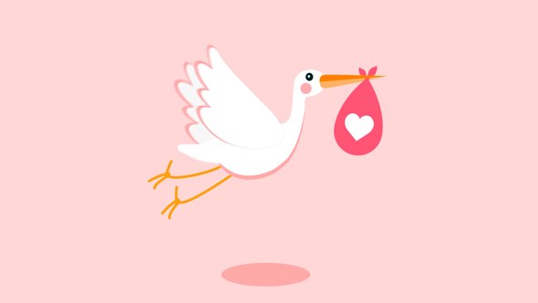 Videohive Stork - Baby Birthday Opener Openers template preview