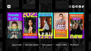 Videohive Fashion Instagram Stories 44880893 Product Promo template preview