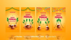 Videohive Happy Pongal Greetings Instagram Stories Openers template preview