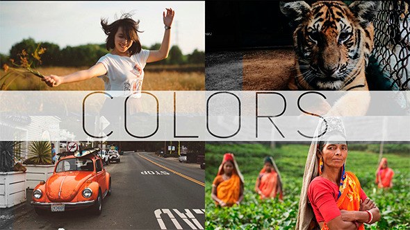 COLORS - Photo/Video Gallery Video Displays template preview