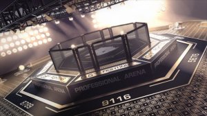 Videohive Octagon Logo Logo Stings template preview