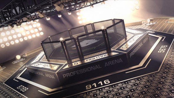 Videohive Octagon Logo Logo Stings template preview