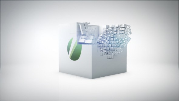 Videohive Box Logo Reveal Logo Stings template preview