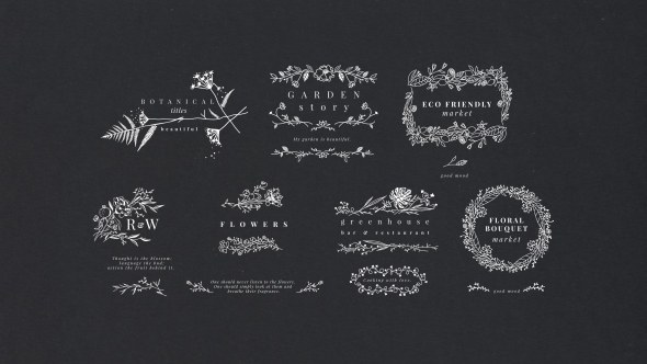 Videohive Botanical Titles Titles template preview