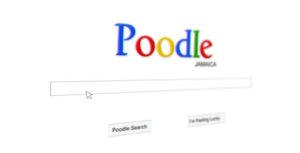 Search Engine Advertisement - Videohive Video Displays template preview