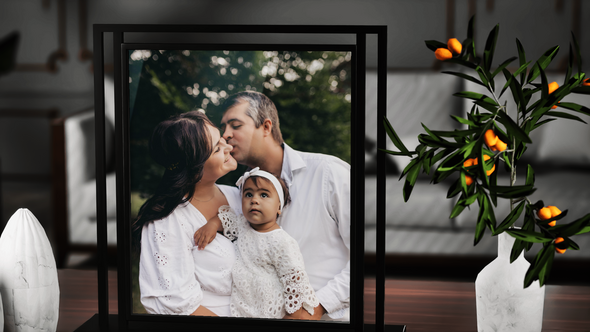 Videohive Family Photo Gallery Broadcast-packages template preview