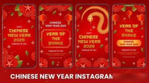 Videohive Chinese New Year Instagram Story 56081382 Openers template preview