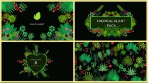 Videohive Tropical Plant Pack Elements template preview