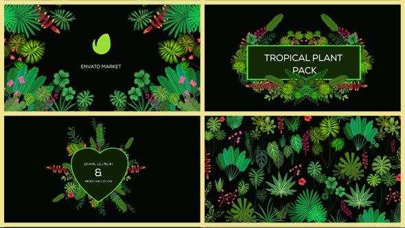 Videohive Tropical Plant Pack Elements template preview