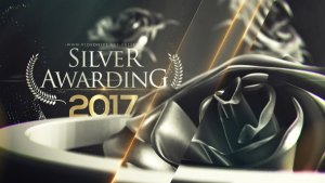 Silver Awarding Pack Video Displays template preview
