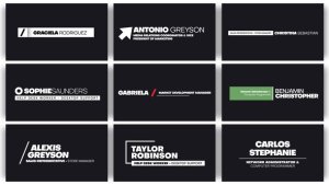 Videohive Minimal Lower Thirds 44526245 Elements template preview