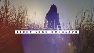 Videohive Light Bokeh Particles Color Overlay V2 Elements template preview