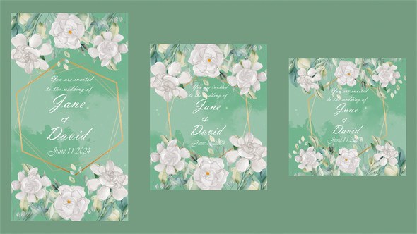Videohive Wedding Invitation 52030297 Video Displays template preview