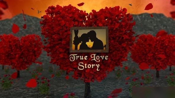 Videohive Love Story Slideshow 50474977 Openers template preview