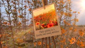 Videohive Photo Gallery in a flowery and sunny meadow Video Displays template preview