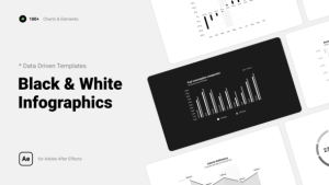 Videohive Black & White Infographics Infographics template preview