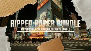 Videohive Ripped Paper Transitions & Overlays Bundle Elements template preview