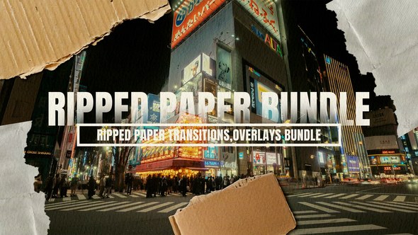 Videohive Ripped Paper Transitions & Overlays Bundle Elements template preview