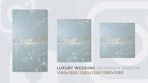 Videohive Luxury Wedding | Romantic Love Instagram Reel Video Displays template preview