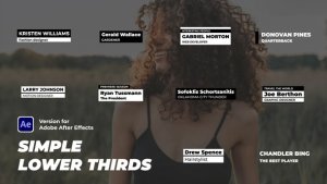 Videohive Simple Lower Thirds 44504975 Elements template preview