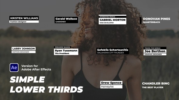 Videohive Simple Lower Thirds 44504975 Elements template preview