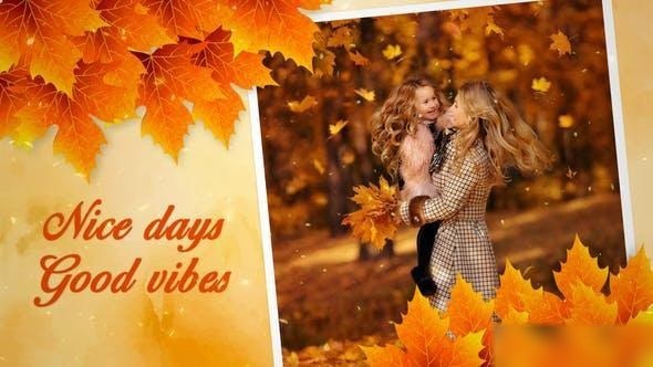 Videohive Autumn Romantic Slideshow 49252195 Openers template preview