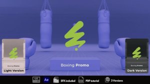 Videohive Boxing Promo Openers template preview