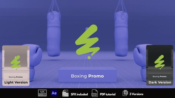 Videohive Boxing Promo Openers template preview