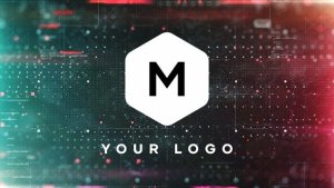 Videohive Find Face Logo Reveal Logo Stings template preview