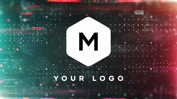 Videohive Find Face Logo Reveal Logo Stings template preview