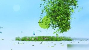 Videohive Nature Logo Reveal 45329596 Logo Stings template preview
