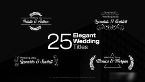 Videohive Elegant Wedding Titles 46759017 Titles template preview