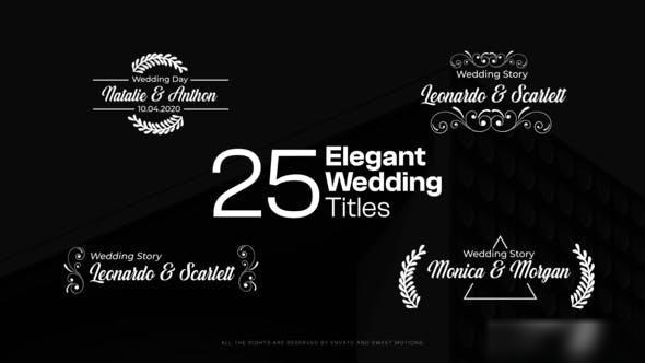 Videohive Elegant Wedding Titles 46759017 Titles template preview
