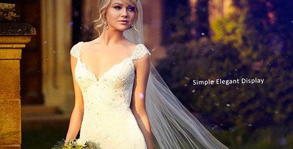 Videohive Wedding Photos Video Displays template preview