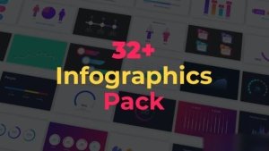 Videohive Infographics Pack 32204332 Infographics template preview