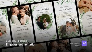 Videohive Social Media Reels - Engagement Invitation After Effects Template Elements template preview
