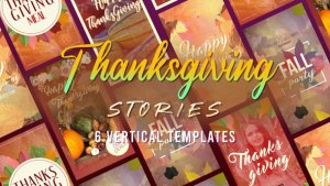 Videohive Thanksgiving Stories Product Promo template preview